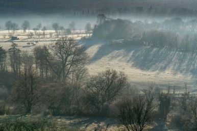 Das Almetal in Niederntudorf nach einer Frostnacht | Detlef Hillebrand